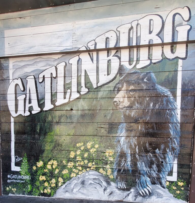 Gatlinburg: Some of Our Favorite things